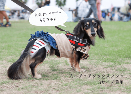 ORIGINAL【Sサイズ単品】おむつカバー ネイビー×レッド
