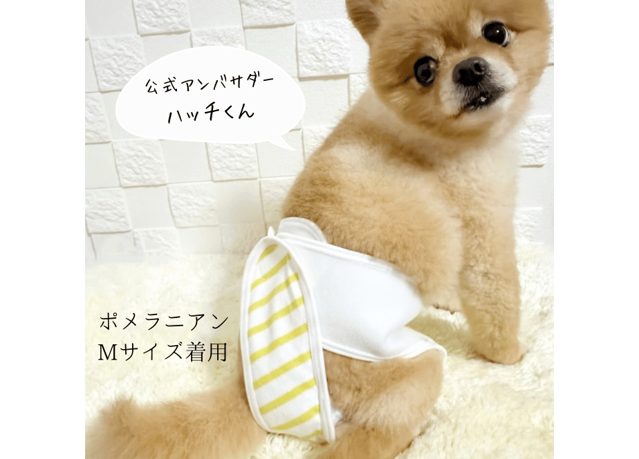 Mサイズセット】おむつカバー＋パッド1枚（ネイビー×レッド） | omuwan 