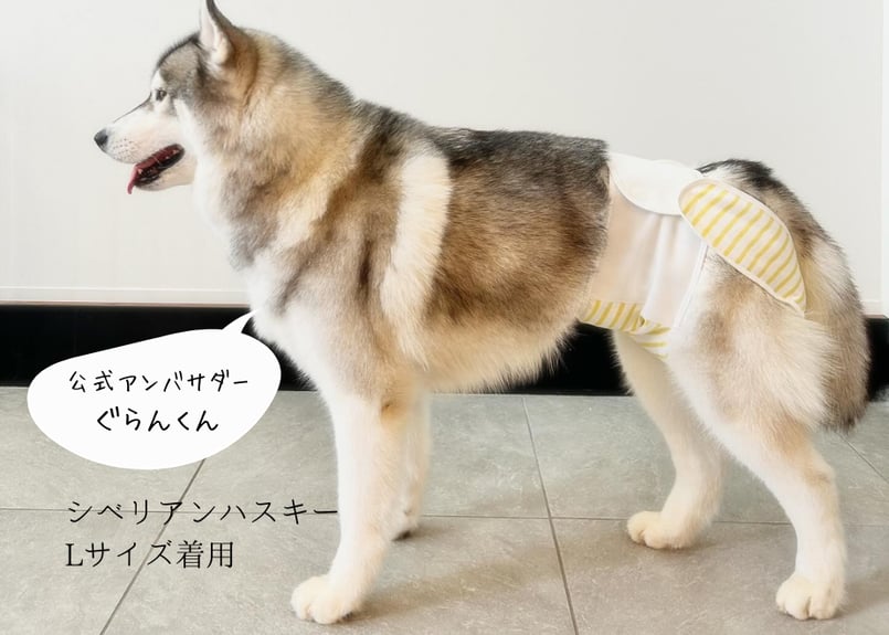 Lサイズ単品】おむつカバー ネイビー×レッド | omuwan｜愛犬の