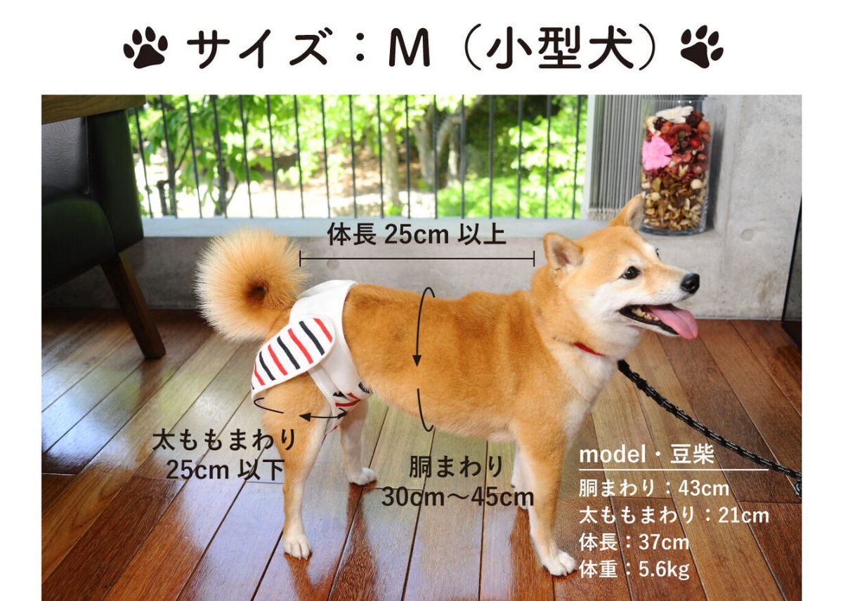 ワンちゃん用のおむつカバー2つ♡46cm&42cm ワンちゃん用のおむつ