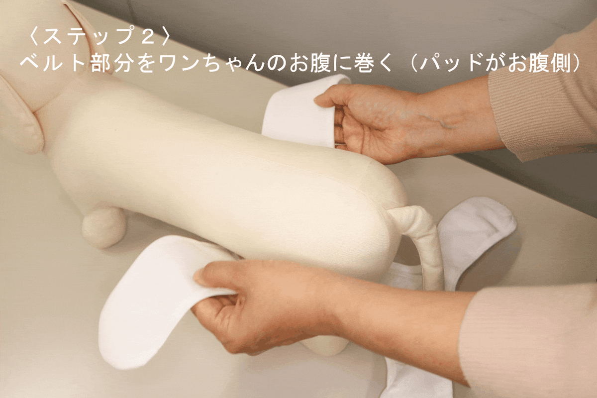 Mサイズ単品】おむつカバー ネイビー×レッド | omuwan｜愛犬のための