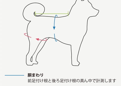 KINAKO【Mサイズセット】おむつカバー＋パッド 1枚（ポーチ付） <2周年記念限定カラー>
