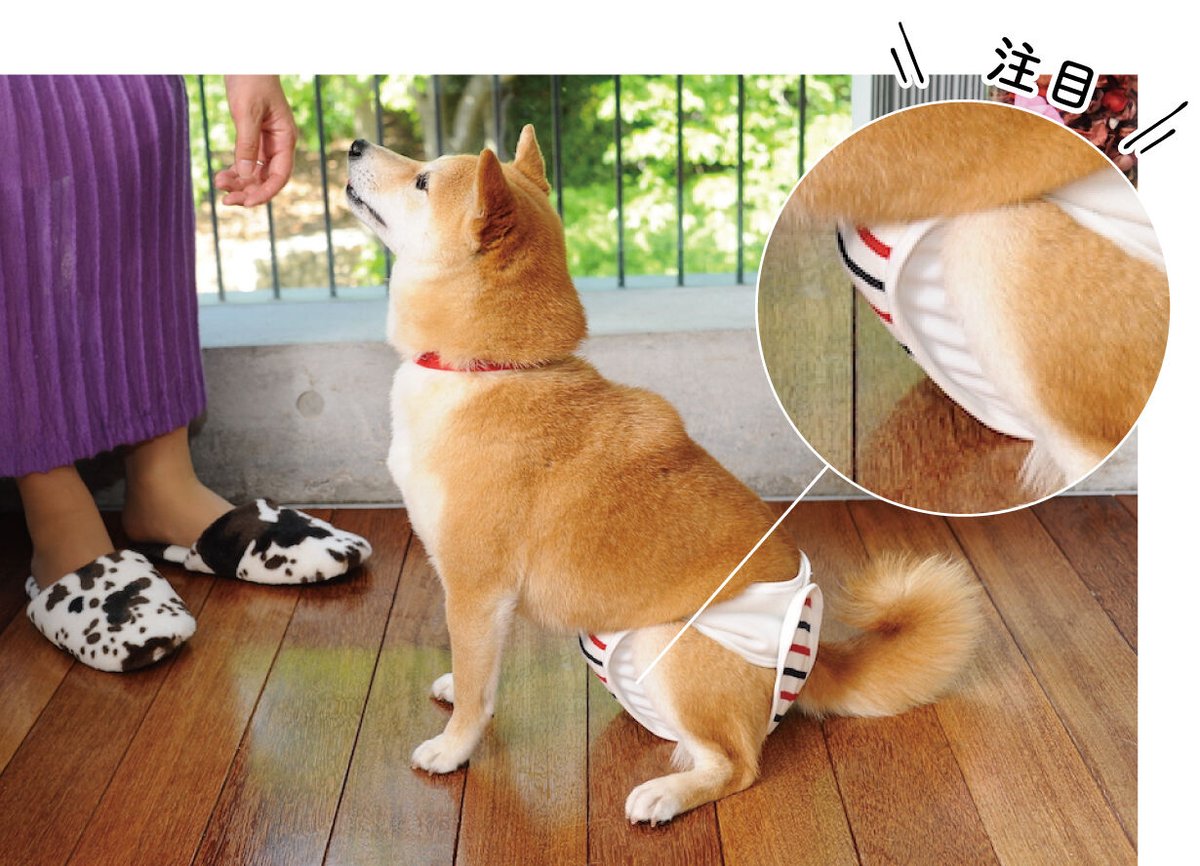 おむつカバーベビーイエロー可愛い動物柄Lサイズ裏ベビー おむつカバーベビーイエロー可愛い動物柄Lサイズ裏ベビー