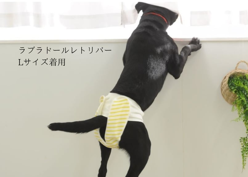 Lサイズセット】おむつカバー＋パッド1枚 イエロー（330円お得