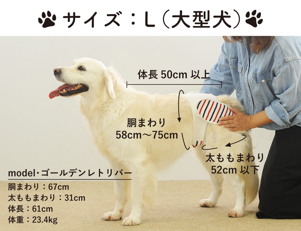 ワンちゃん用のおむつカバー2つ♡46cm&42cm ワンちゃん用のおむつ