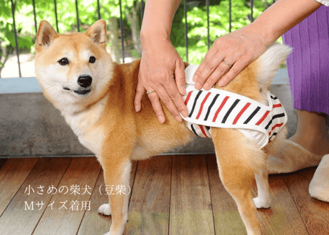 YUZU【Mサイズ単品】おむつカバー イエロー