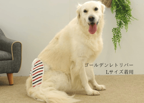 【自宅にサンプル届く】有料試着サービス（送料込み3,000円）
