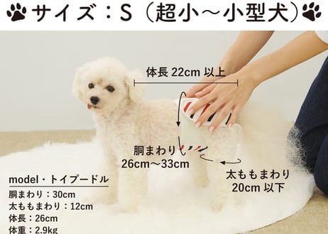 GOMA【Sサイズセット】おむつカバー＋パッド 1枚（ポーチ付） <2周年記念限定カラー>