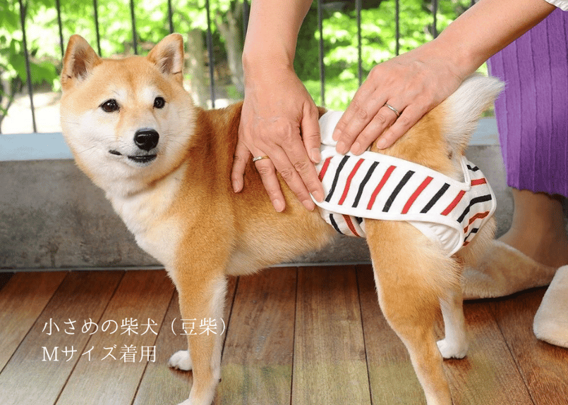 Mサイズ単品】おむつカバー ネイビー×レッド | omuwan｜愛犬のための