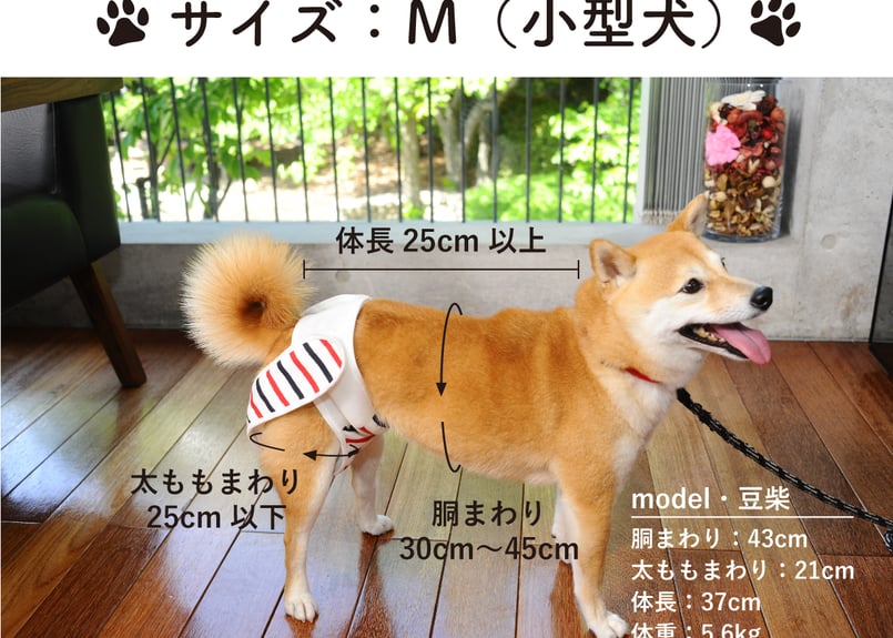SAKURA【Mサイズセット】おむつカバー＋パッド 1枚（ポーチ付