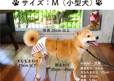 GOMA【Mサイズセット】おむつカバー＋パッド 1枚（ポーチ付）<2周年記念限定カラー>