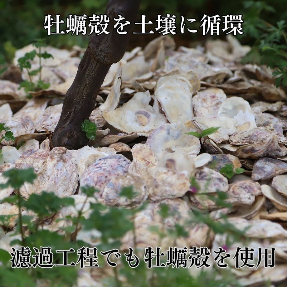 66a3856bbc017d021c392024