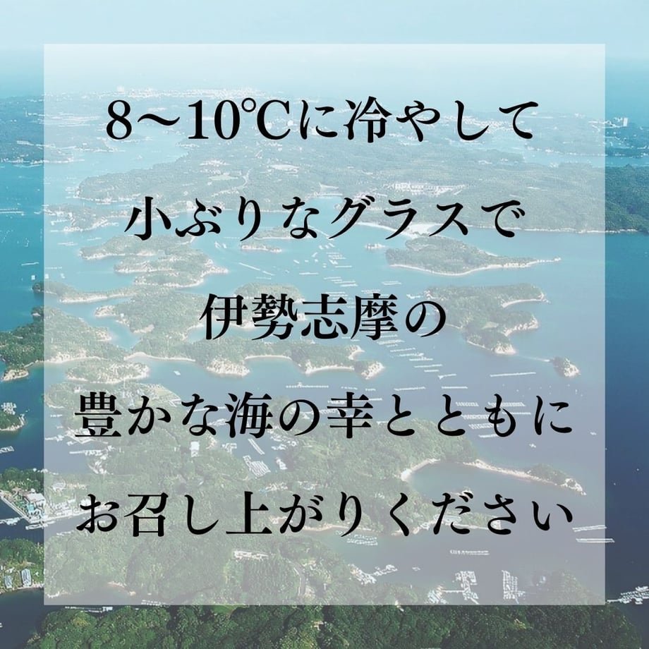 66a3856bbc017d021c392024