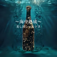 数量限定‼～海中熟成～美し国シャルドネ2023 / 750ml【伊勢美し国醸造所】