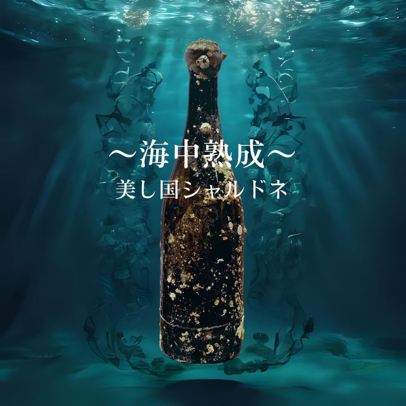 数量限定‼～海中熟成～美し国シャルドネ2023 / 750ml【伊勢美し国醸造