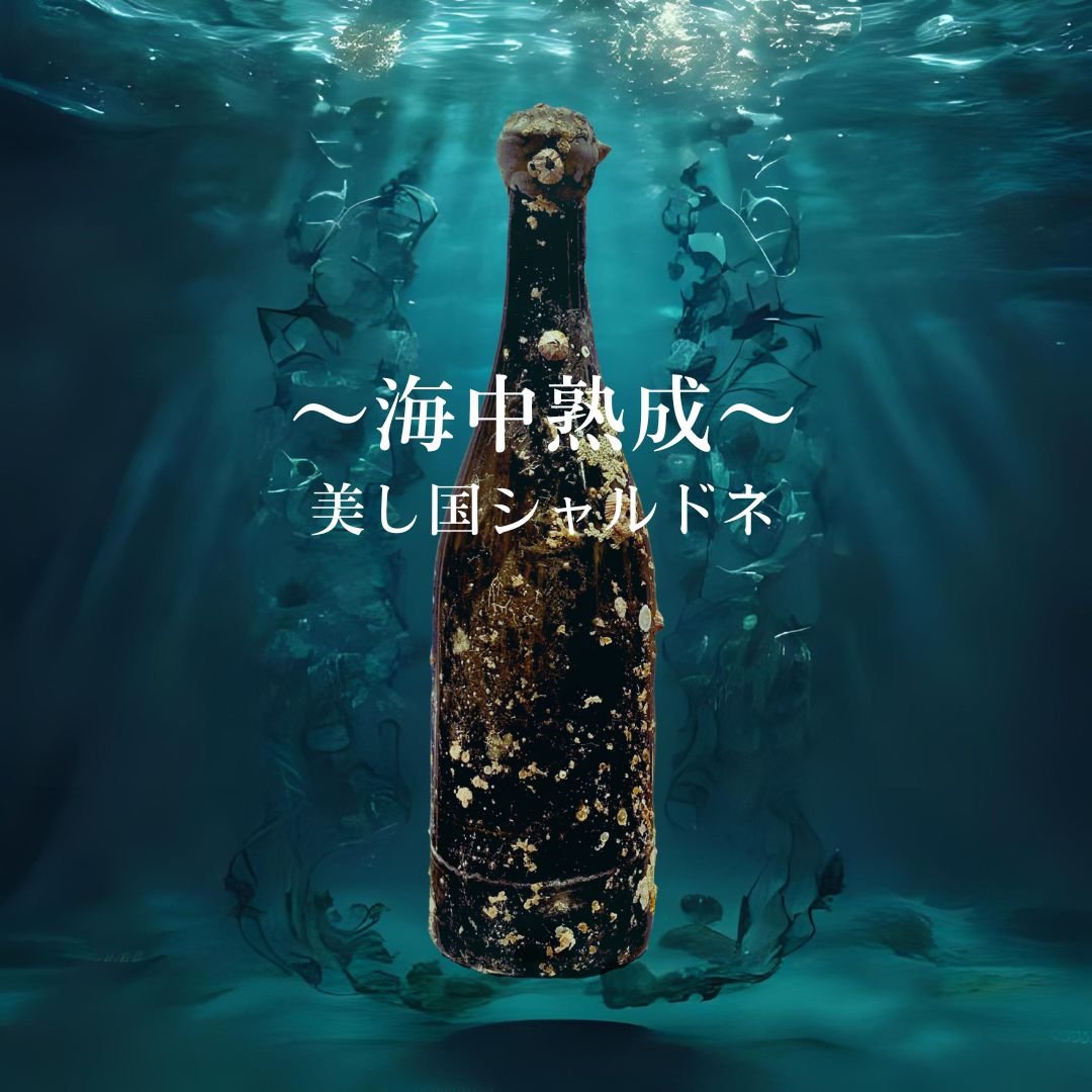 数量限定‼～海中熟成～美し国シャルドネ2023 / 750ml【伊勢美し国醸造