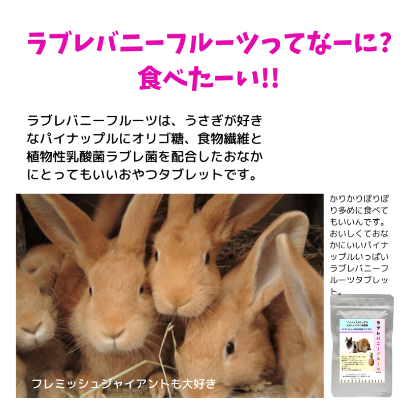 うさぎファンクラブ 新発売 うさぎ おやつ乳酸菌サプリ ラブレバニー