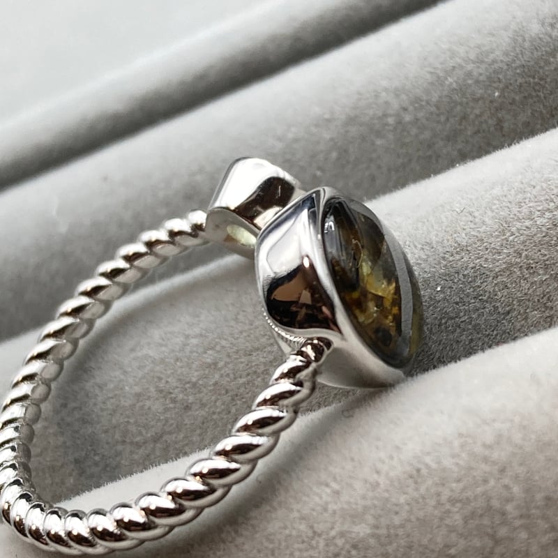 21cm大型 博物館級！ 入手困難！パラサイト隕石の女王 イミラック隕石