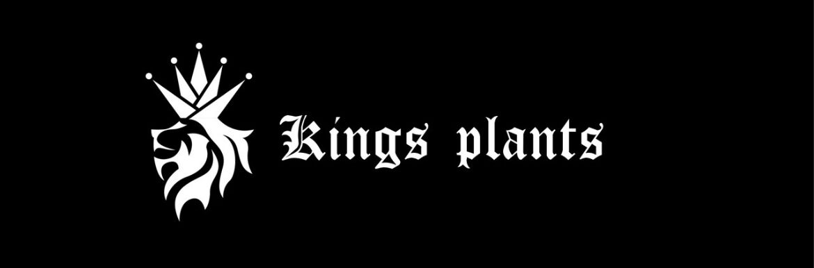 kings-plants 