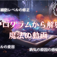 病気プログラムから解放する魔法の動画