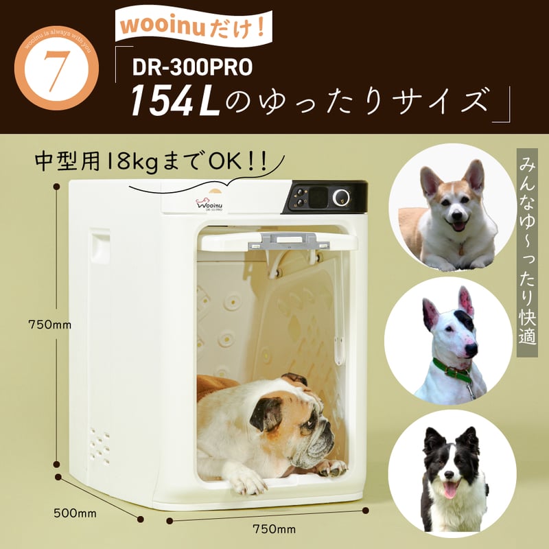 数量限定 特大セール】【WINTER HOLIDAY SALE 開催中⇒44,300円off