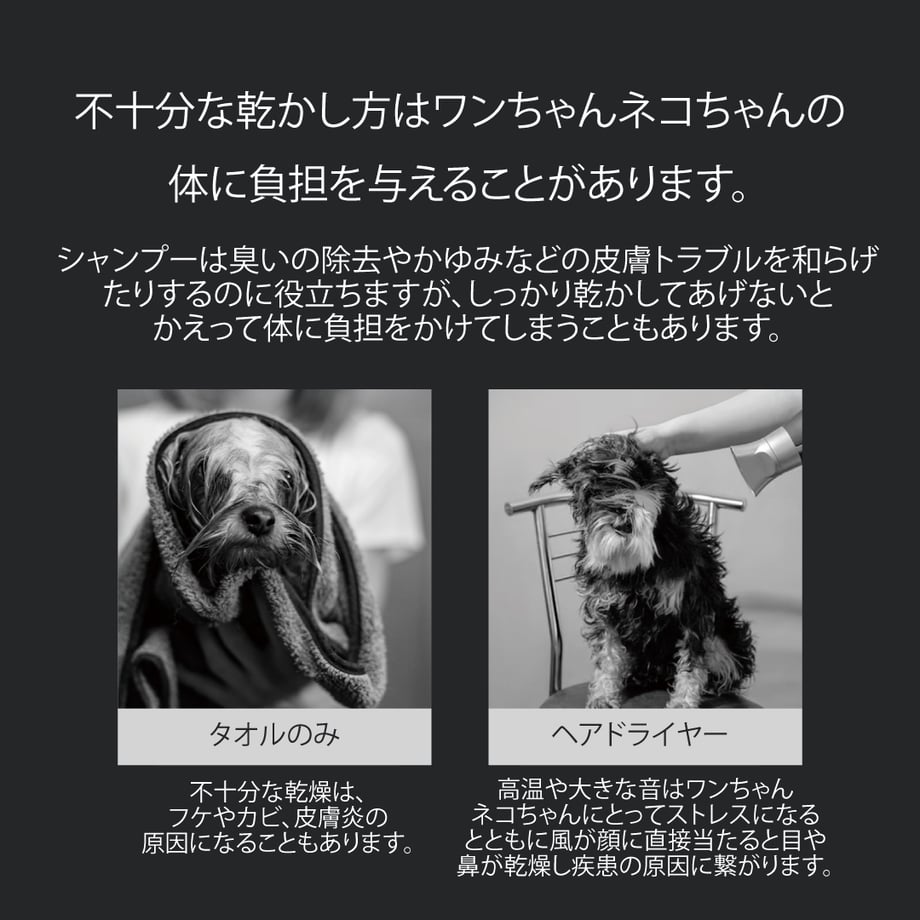 64a60b83cb38490031df1fa3
