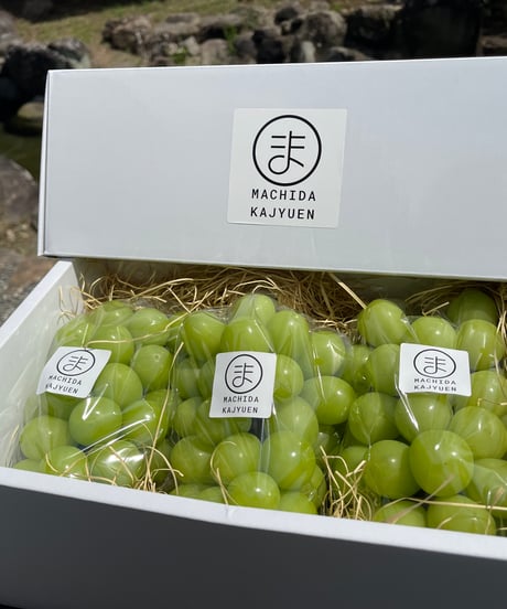 マスカット 2026年先行受付】岡山 花笑み農園の『シャインマスカット&瀬戸