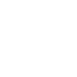 tougu store