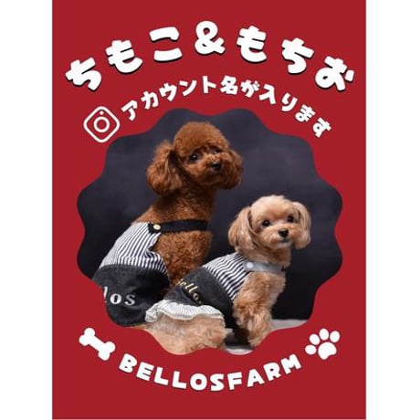 うちの子オリジナル名刺おやつ(ジャーキー3種)