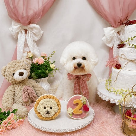 似顔絵誕生日ケーキ 犬用肉と野菜のケーキ グルテンフリー 砂糖 着色料 不使用 （ペット用）