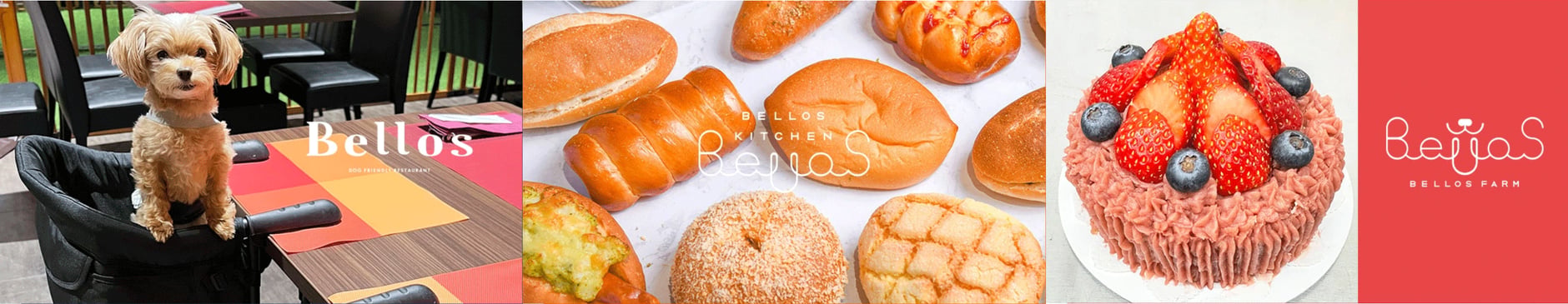 Bellos(ベローズ) Shop