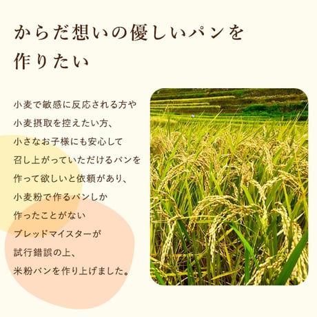 米粉パン 米粉100％ 添加物/卵/乳製品/乳化剤/増粘剤/グルテン不使用 もちもち もっちり おいしい 手軽な丸パン レンチンで食べられる グルテンフリー