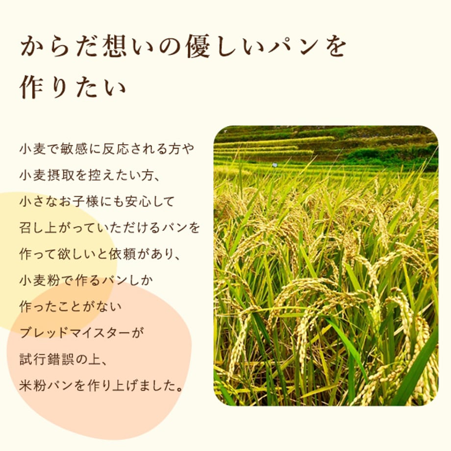 654533907b8f0303344ac740