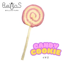 キャンディクッキー イチゴ（ペット用）