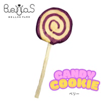 キャンディクッキー ベリー（ペット用）