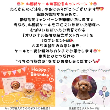 似顔絵誕生日ケーキ 犬用肉と野菜のケーキ グルテンフリー 砂糖 着色料 不使用 （ペット用）