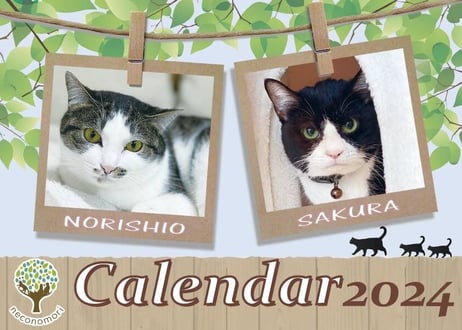 猫の森さまのページです 緊急のお願い】 | NPO法人猫の森 オフィシャルブログ