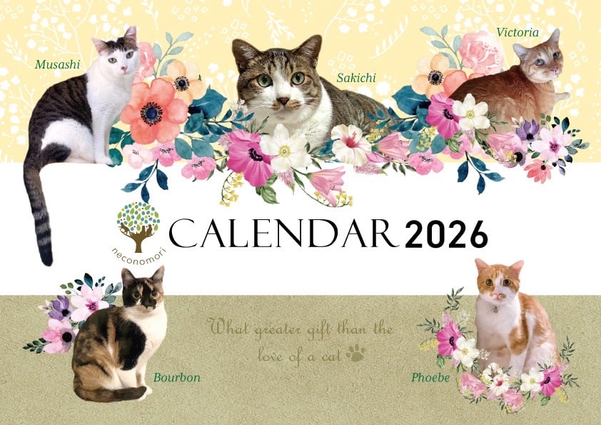 2026年度「猫の森チャリティーカレンダー」販売開始します！！10月1日
