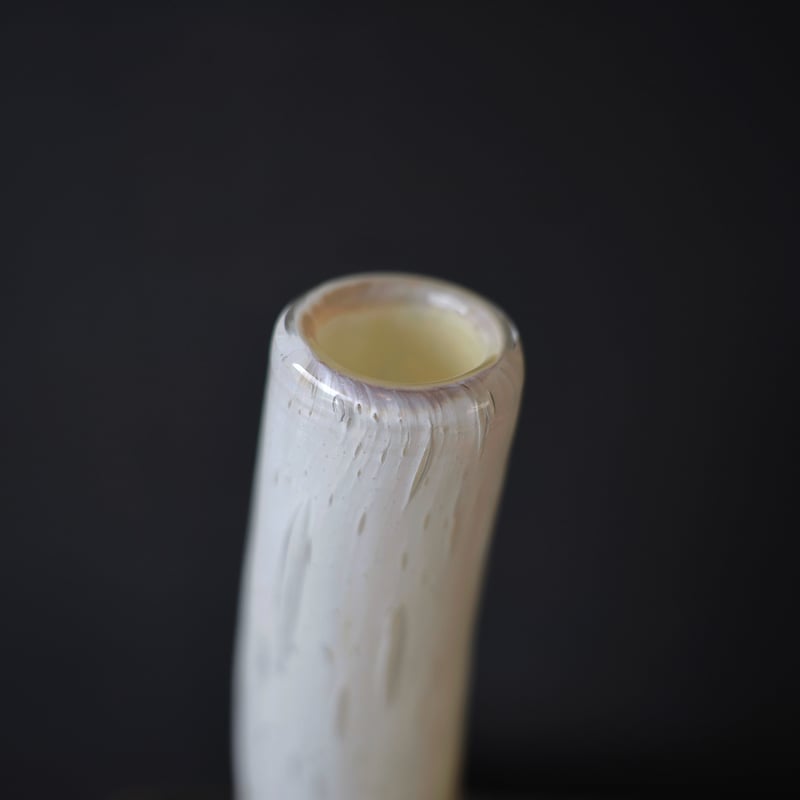 Henry Dean Grass L チコリー Henry Dean Grass L チコリー Henry Dean Grass L チコリー