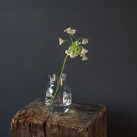 Henry Dean ] Grass L | retes online shop