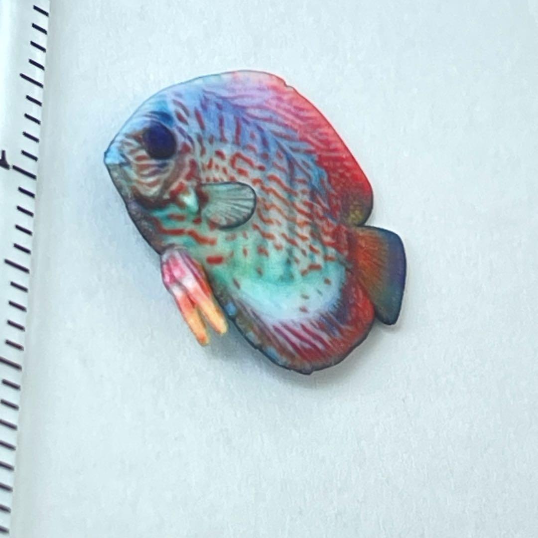 1/10 ミニチュア 熱帯魚 ディスカス フィギュア 魚 完成品 ドール