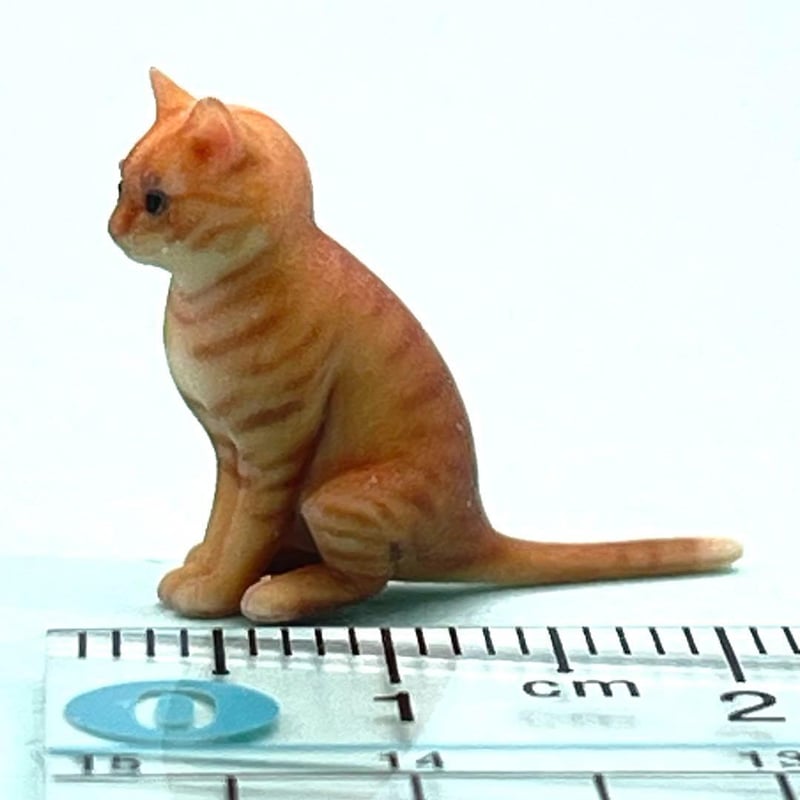 ドラゴンボール - 茶虎猫 うっちー | 2022.10.06 「ドラゴンボール 猫」 DRAGON BALL