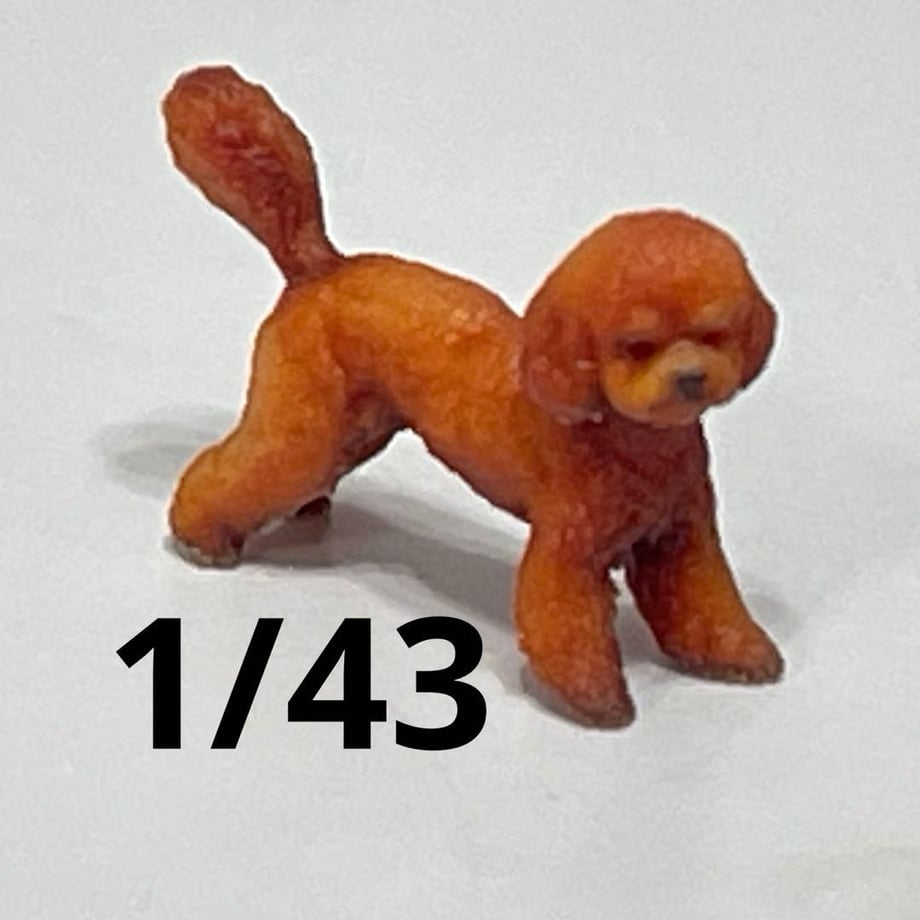 69e2573b7656e2c97d42abef