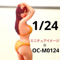 1/24 オーシャンコスモス　OC-M0124 フィギュア　リアルフィギュア　ミニチュアイメージ　完成品　ミニカー　ジオラマ　ドールハウスに