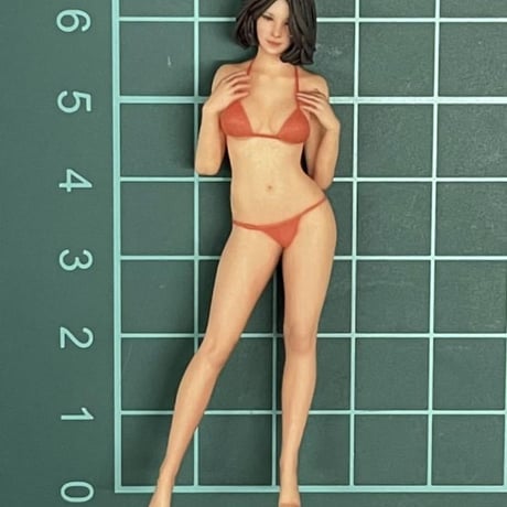 1/24★joy5-2★フィギュア★リアルフィギュア★完成品★3Dフィギュア　ミニチュアイメージ