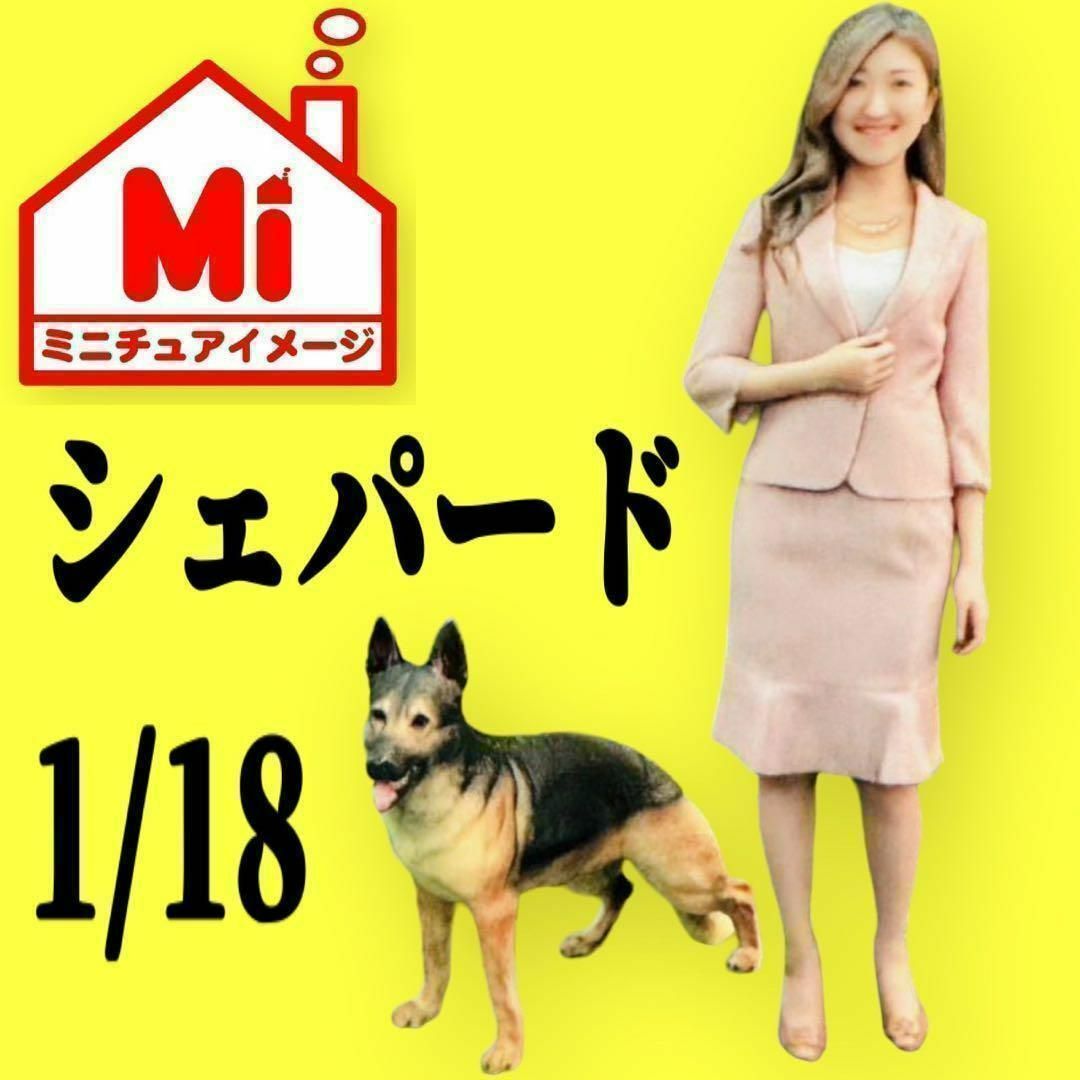 フィギュア 1/18 犬と女の子 フィギュア 外箱付き 3D ミニチュア 1/64