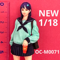 NEW 1/18 オーシャンコスモスOC-M0071 フィギュア　リアルフィギュア　完成品　ミニチュアイメージ