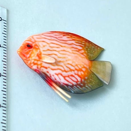 1/6 ミニチュア　熱帯魚　ディスカス② フィギュア　完成品　ドールハウスに　完成品
