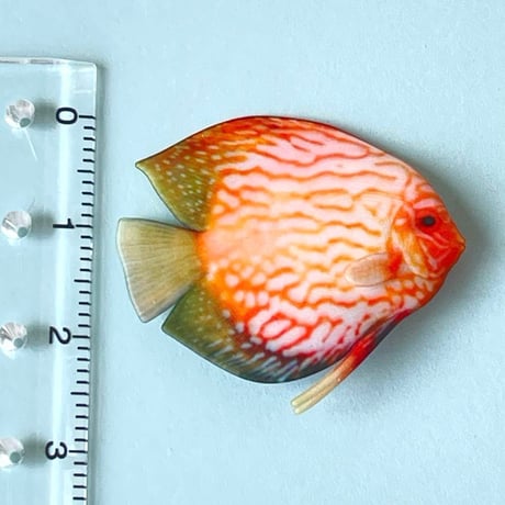 1/6 ミニチュア　熱帯魚　ディスカス② フィギュア　完成品　ドールハウスに　完成品