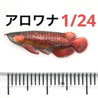 1/24 アロワナ　ミニチュア　フィギュア　完成品　ドールハウスに　3Dプリンタ